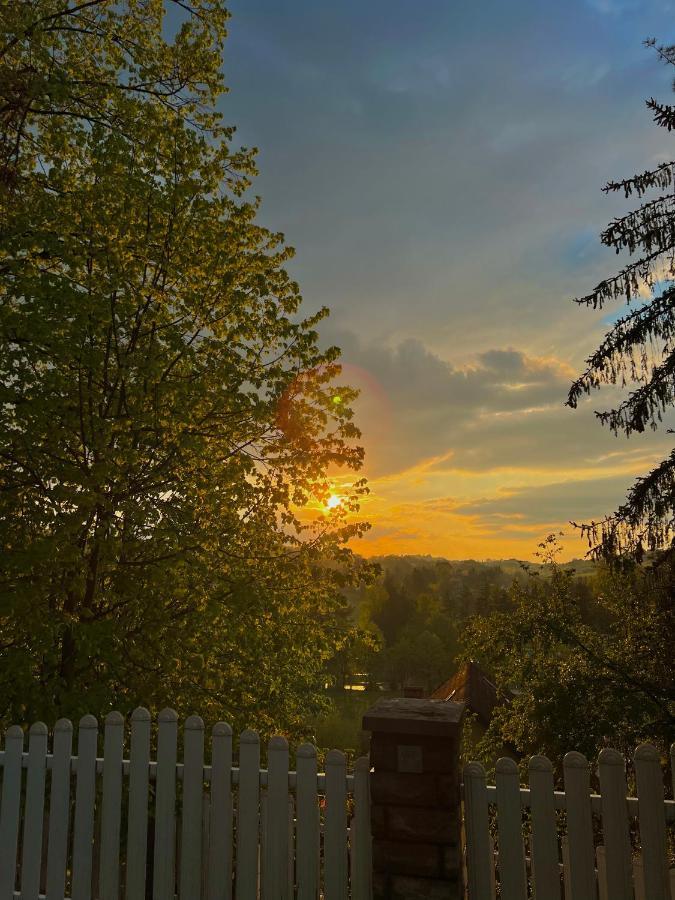 Hotel Konaci Nikola Banja Vrujci Gornja Toplica Exteriér fotografie