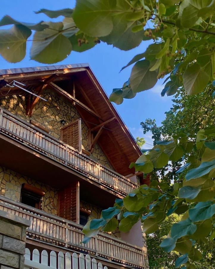Hotel Konaci Nikola Banja Vrujci Gornja Toplica Exteriér fotografie
